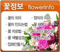 �ö������