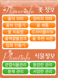 �ö������