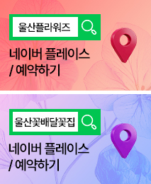 �÷��̽����