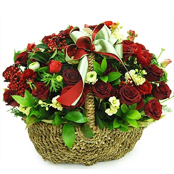 �󼼳��뺸��