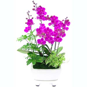 �󼼳��뺸��