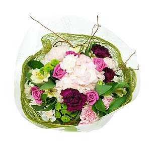 �󼼳��뺸��