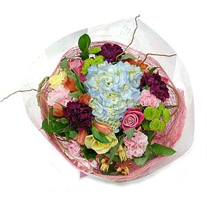 �󼼳��뺸��