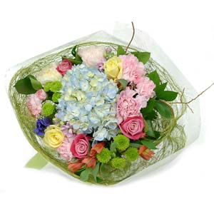 �󼼳��뺸��