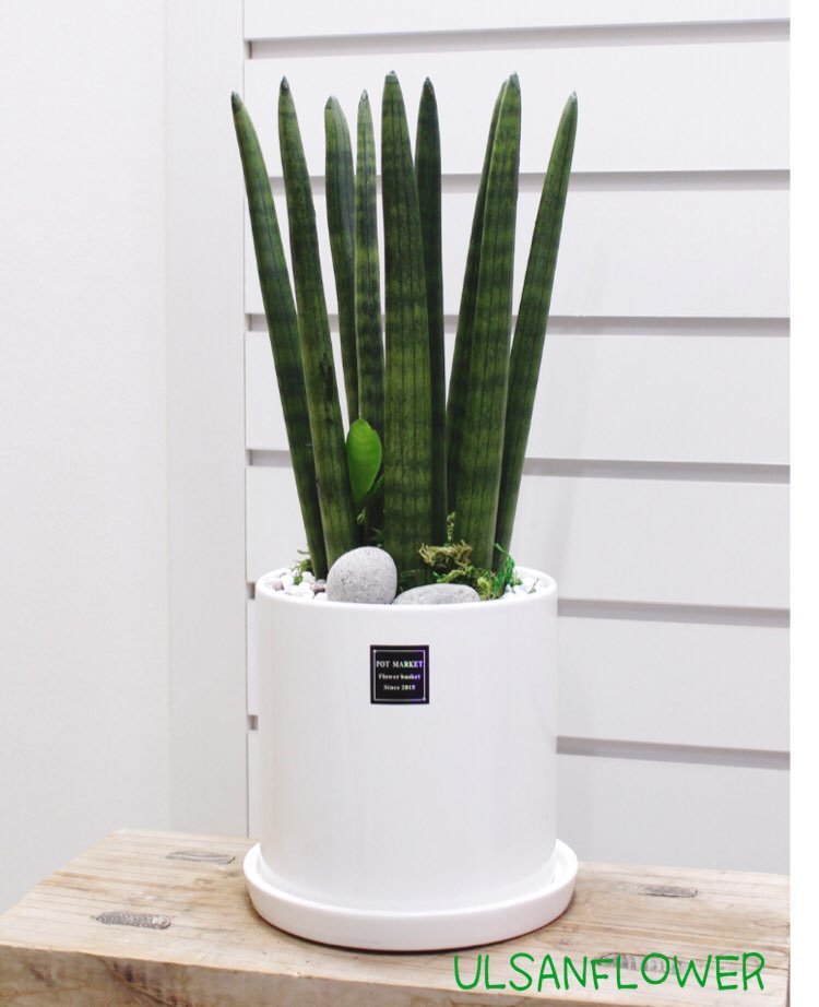 �󼼳��뺸��