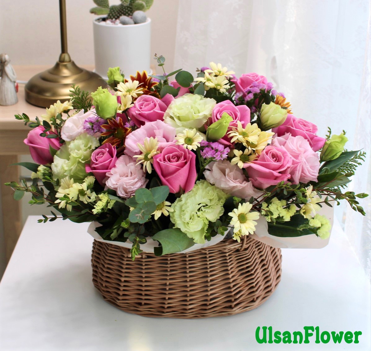 �󼼳��뺸��