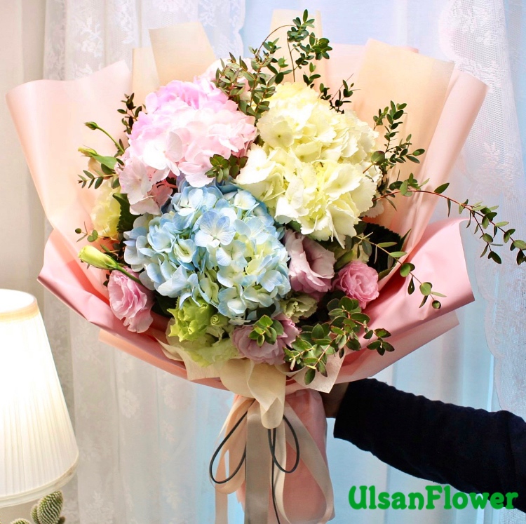 �󼼳��뺸��