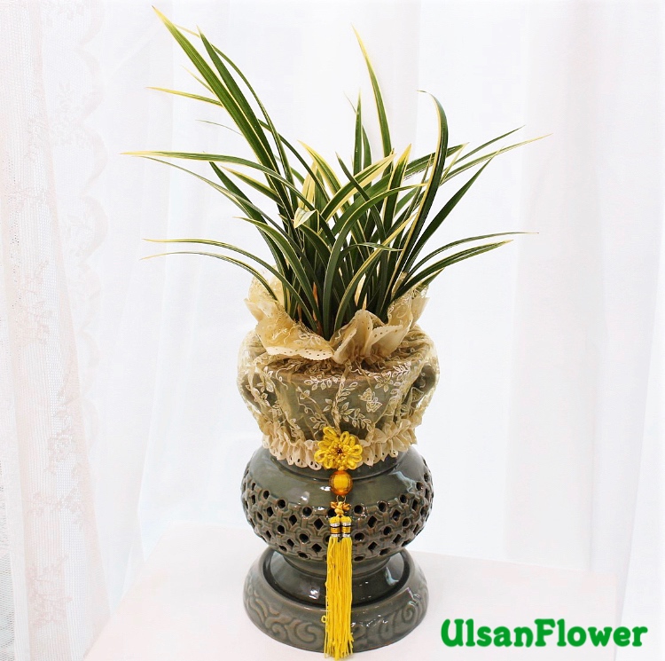 �󼼳��뺸��