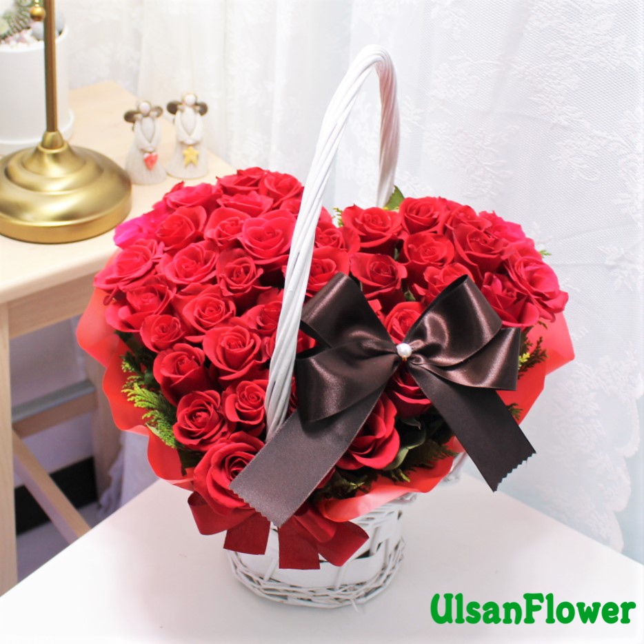 �󼼳��뺸��