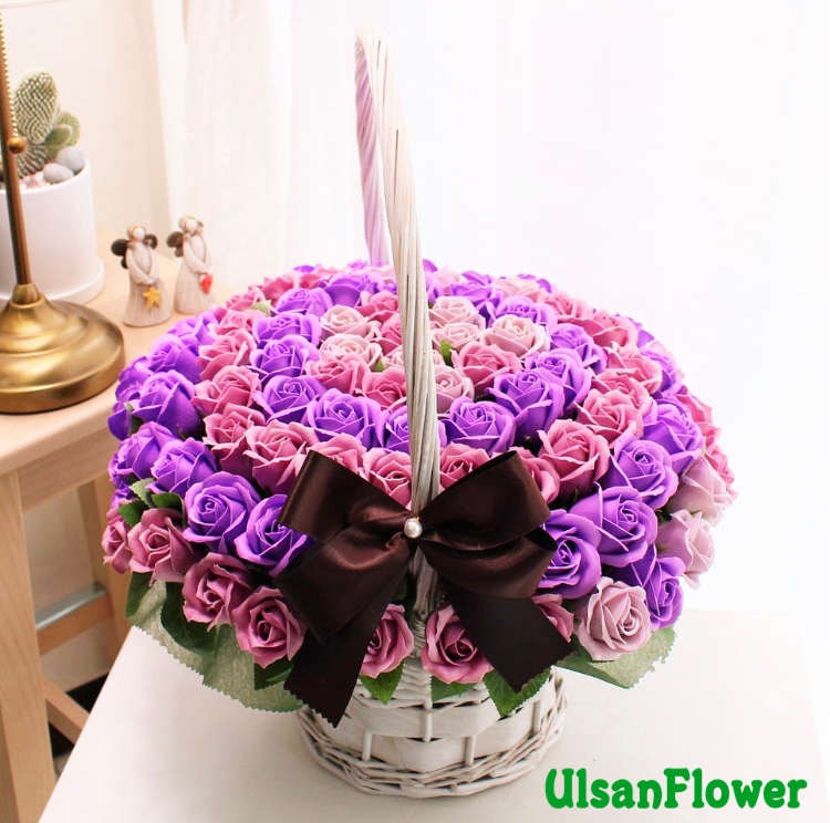 �󼼳��뺸��