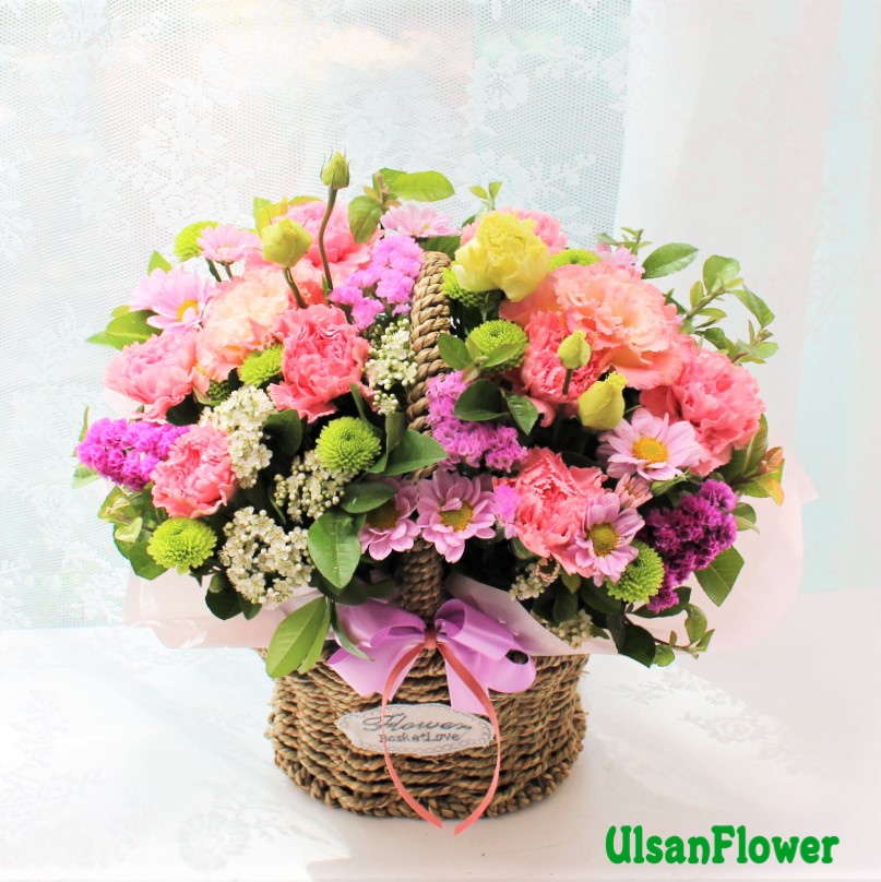 �󼼳��뺸��