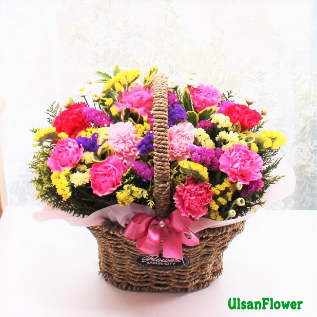 �󼼳��뺸��