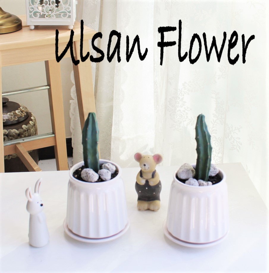 �󼼳��뺸��