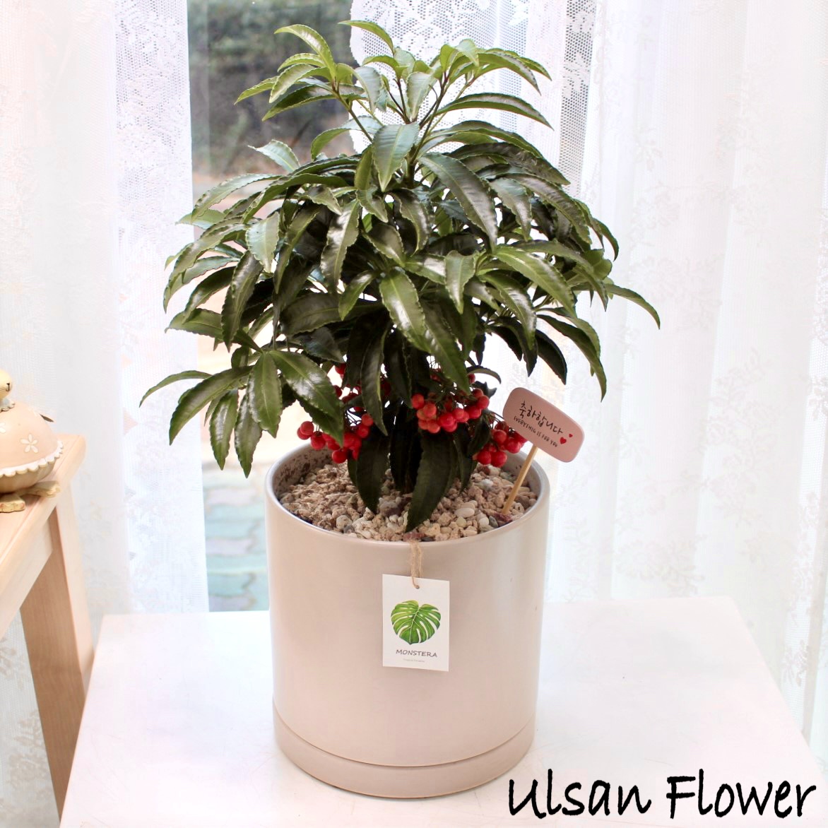 �󼼳��뺸��