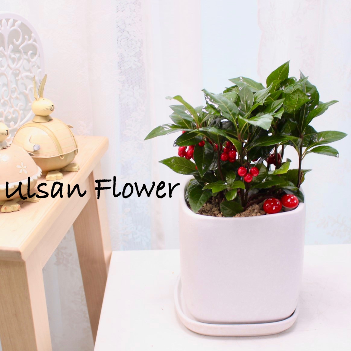 �󼼳��뺸��