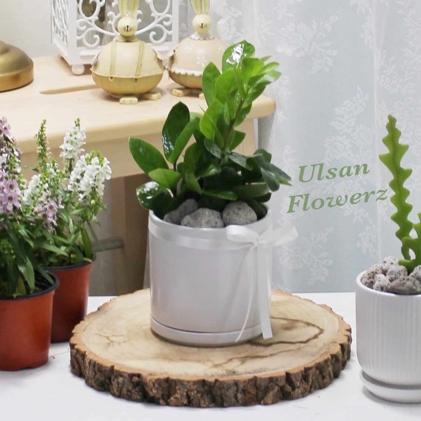 �󼼳��뺸��