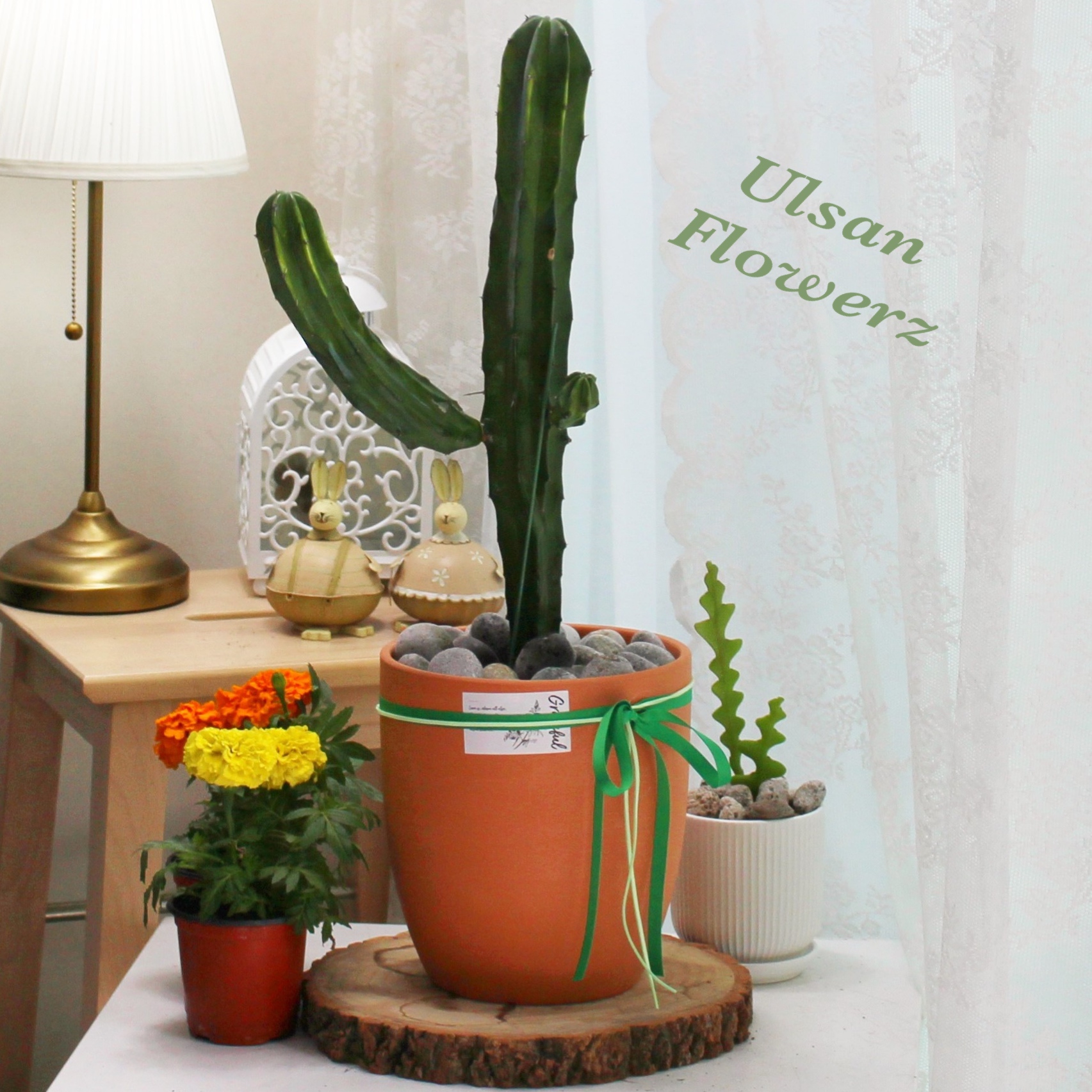 �󼼳��뺸��