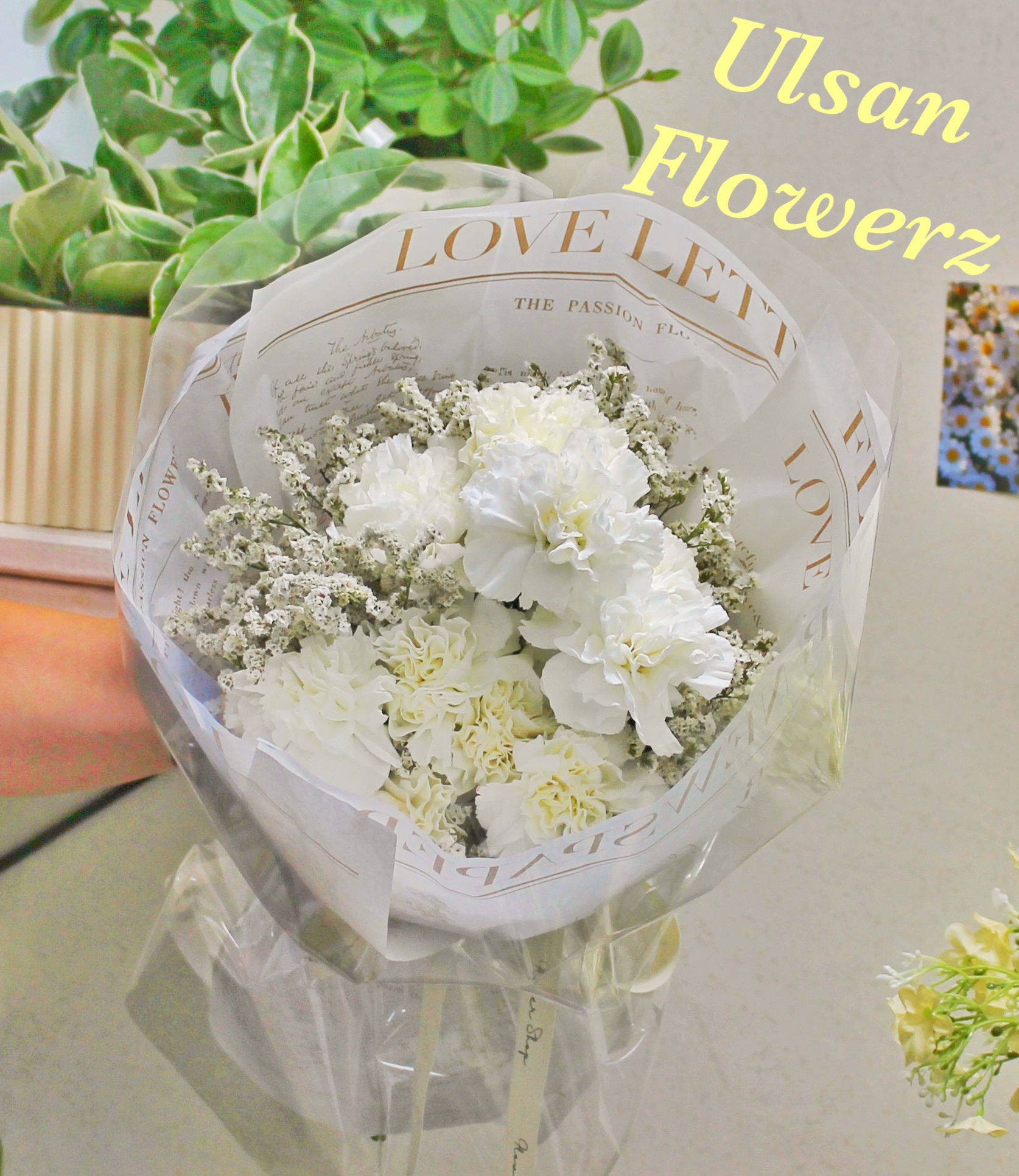 �󼼳��뺸��