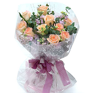 �󼼳��뺸��