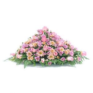 �󼼳��뺸��