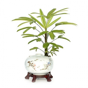 �󼼳��뺸��