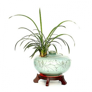 �󼼳��뺸��