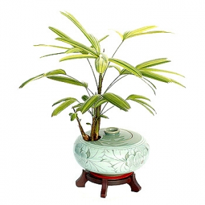 �󼼳��뺸��