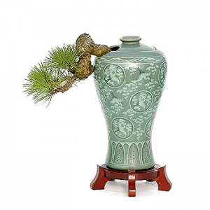 �󼼳��뺸��