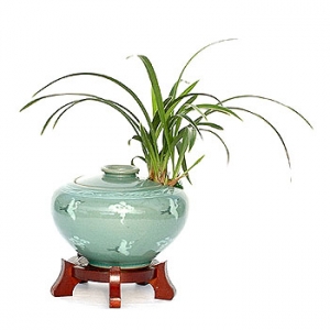 �󼼳��뺸��