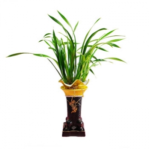 �󼼳��뺸��