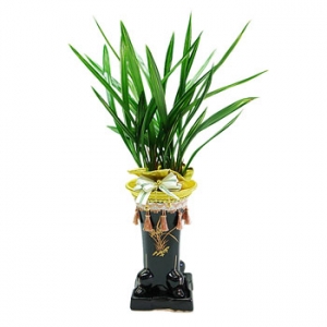 �󼼳��뺸��