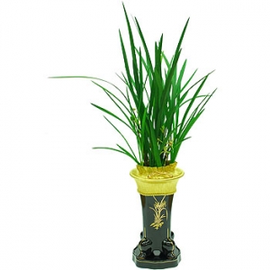 �󼼳��뺸��