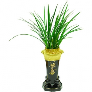 �󼼳��뺸��