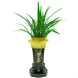 �󼼳��뺸��