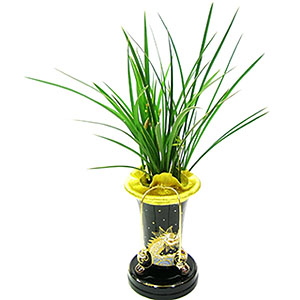 �󼼳��뺸��