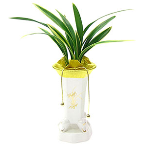 �󼼳��뺸��