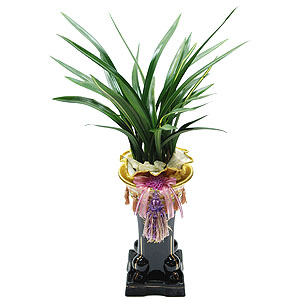 �󼼳��뺸��