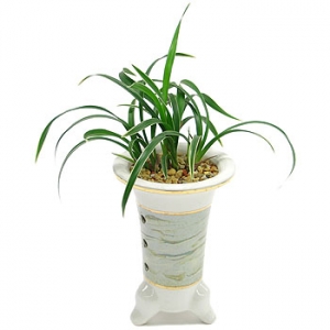 �󼼳��뺸��