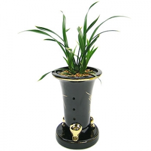 �󼼳��뺸��