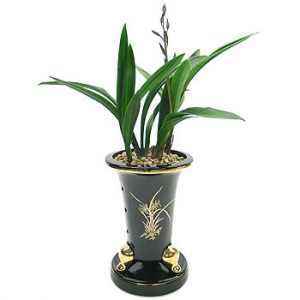 �󼼳��뺸��