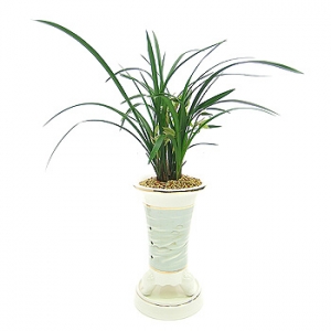 �󼼳��뺸��