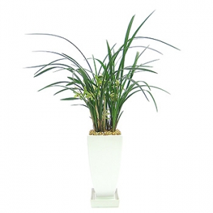 �󼼳��뺸��