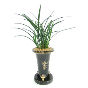 �󼼳��뺸��