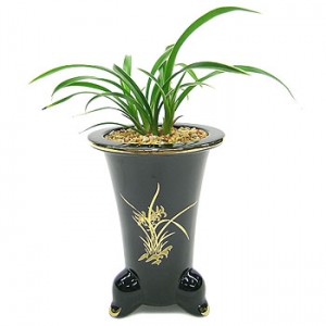 �󼼳��뺸��