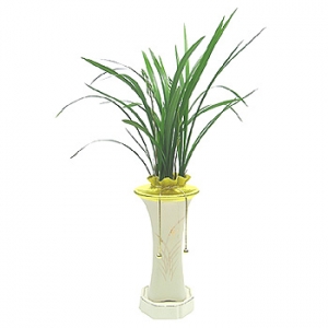 �󼼳��뺸��