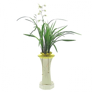 �󼼳��뺸��