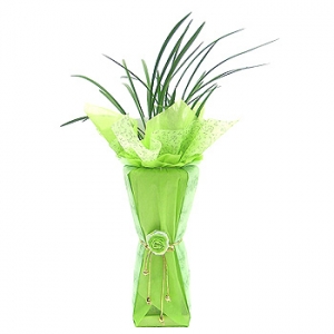 �󼼳��뺸��