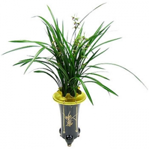 �󼼳��뺸��