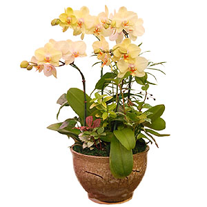 �󼼳��뺸��