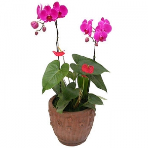 �󼼳��뺸��